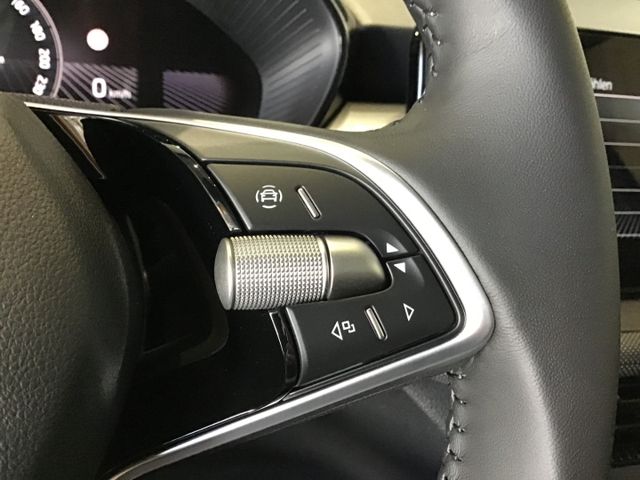Fahrzeugabbildung Skoda Fabia Selection 1.0 TSI LED/Kamera/Tempo/SHZ/DAB