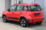 Fiat Panda Red Cross Hybrid+Klimaaut+Teil-Leder+1.Han - Fiat Panda Gebrauchtwagen in Berlin