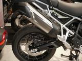 Triumph Tiger 900 Rally Pro, sofort verfügbar - TRIUMPH NEU
