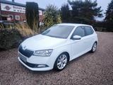 Skoda Fabia 1.0 TSI Clever *Klimatr,Sitzhzg,APP* - Skoda Fabia Clever mit Benzin-Antrieb