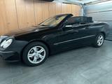 Mercedes-Benz Mercedes Benz CLK 320 Cabrio W 209 - Mercedes-Benz: 209