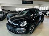 Volkswagen Beetle Lim. Sport*R-Line*Panorama*Leder*Pdc* - Volkswagen Beetle: Sport