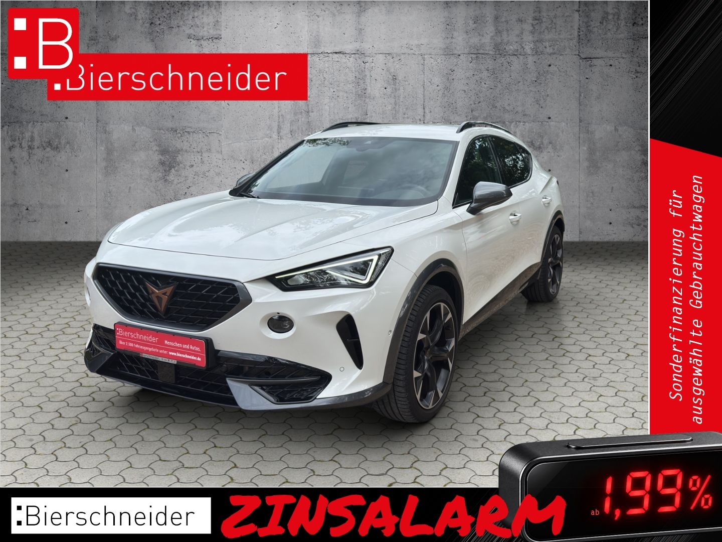 Cupra Formentor 2.0 TSI DSG 4Drive VZ 5-J-GARANTIE NAV