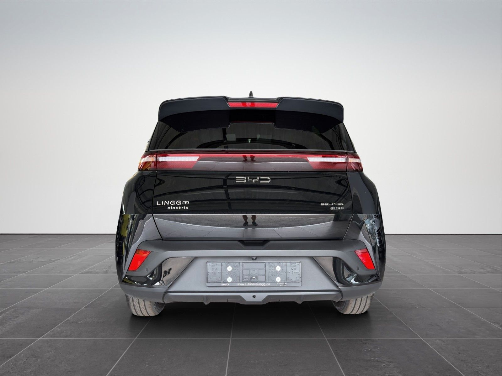 BYD DOLPHIN SURF