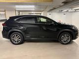 Lexus NX 300h E-FOUR Launch Edition - gebrauchte Lexus Pickups