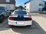 Ford Mustang 5.0 TV8 GT - GT 350 OPTIK - Ford Mustang: Gt350