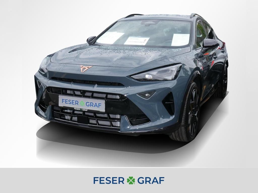 Formentor VZ 2.0 TSI 4D DSG 360° AHK Matrix