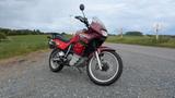 Honda XL600V Transalp PD06 - Offers
