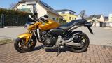 Honda CB 600 FA Hornet PC 41 Bj 07 gold - HONDA HORNET 600 PC41