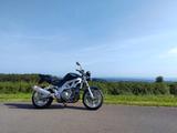 Suzuki SV 1000 - Offers
