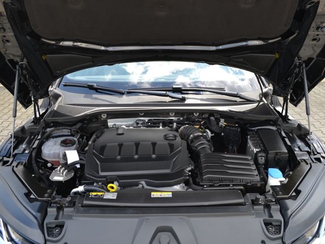 Arteon 2.0 TDI DSG R-Line AHK/21-ZOLL+DCC/STAND-