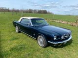 Ford Mustang Cabrio - aus 1965: Cabrio