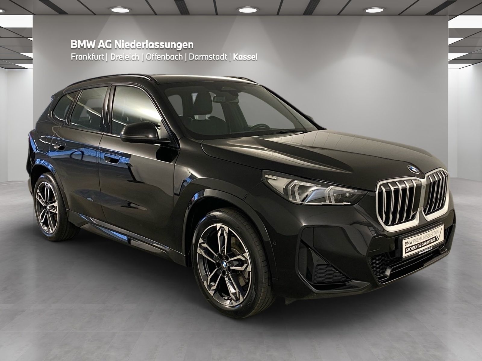 BMW X1 sDrive20i M Sport AHK Driv.Assist Harman K foto 3