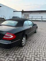 Mercedes-Benz Mercedes Clk W209 - : Cabrio, Clk 209