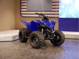 Yamaha YFZ50 Racing Blue - QUAD VON 1 BIS 50 CCM