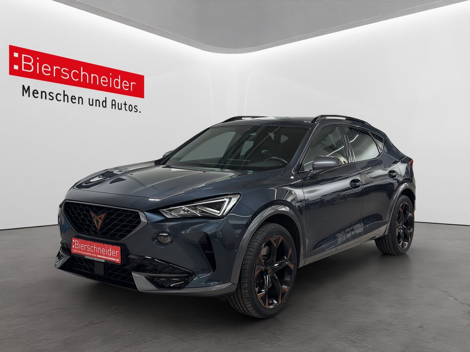 Cupra Formentor 2.0 TSI DSG 4Drive VZ LED NAVI PANO 19 imagem 2