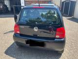 Volkswagen Schöner Lupo für Fahranfänger geeignet - : Kleinwagen, Für Fahranfänger
