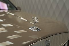 Cullinan Series II 2025 GREY/GREY/BEIGE