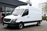 Mercedes-Benz Sprinter 316CDI Kühlkasten Tief-Kühler Standkühl - Mercedes-Benz: Weiß