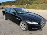 Jaguar XJ 3.0D Portfolio X351 TÜV 04/26, S... - Jaguar XJ aus 2013