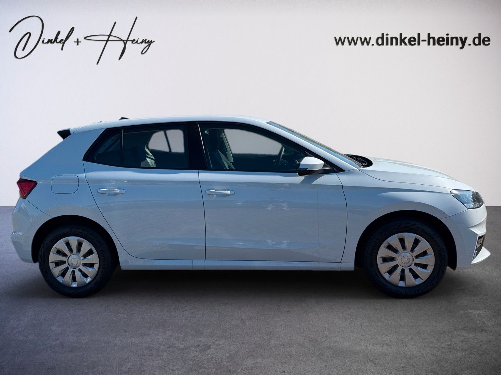 Fahrzeugabbildung SKODA Fabia Selection 1.0TSI