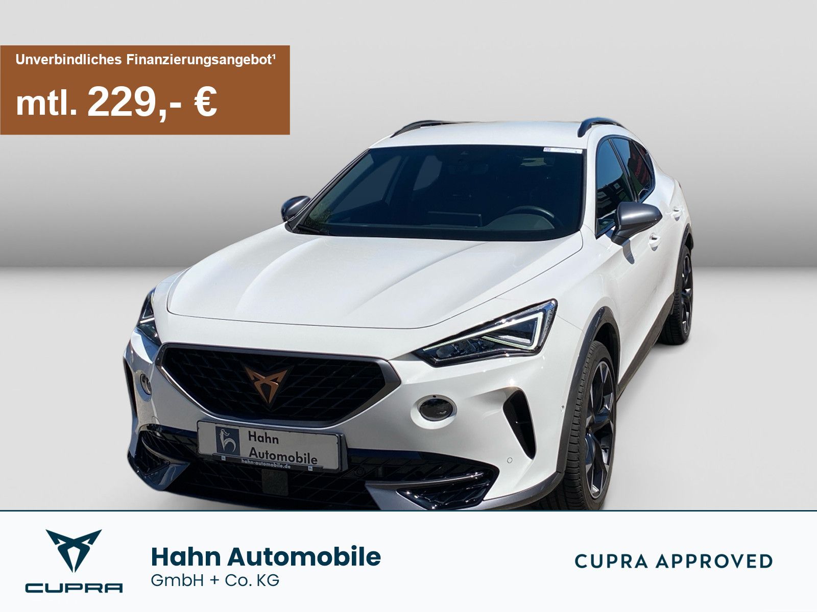 Cupra Formentor VZ 2.0TSI DSG 4Drive LED ACC Kessy foto 1