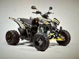 Aeon Cobra 424 SX EFI schwarz-grün - Angebote entsprechen deinen Suchkriterien