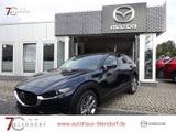 Mazda CX-30 Selection 150 Bose|360°|LED - Mazda CX-30 in Essen