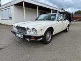 Jaguar XJ - weiße Jaguar XJ