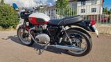 Triumph Bonneville T100 Bud Ekins "Sondermodell" - TRIUMPH BONNEVILLE T100