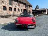 Alfa Romeo Duetto Spider - Alfa Romeo mit Benzin-Antrieb: Cabrio, Duetto