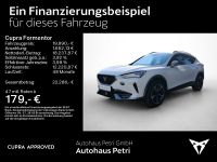 Cupra Formentor - Vorschau Bild 2