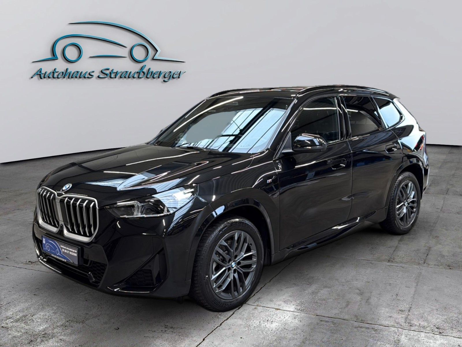 BMW X1 20i sDrive M Sport AHK ACC H&K PANO adpt.LED foto 2