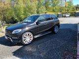 Mercedes-Benz ML 350 BlueTEC 4MATIC - AMG-Line - Mercedes-Benz ML 350: AMG