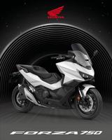 Honda Forza NSS750 2026 *6J. Garantie*elektr. Scheibe* - HONDA NEU ROLLER