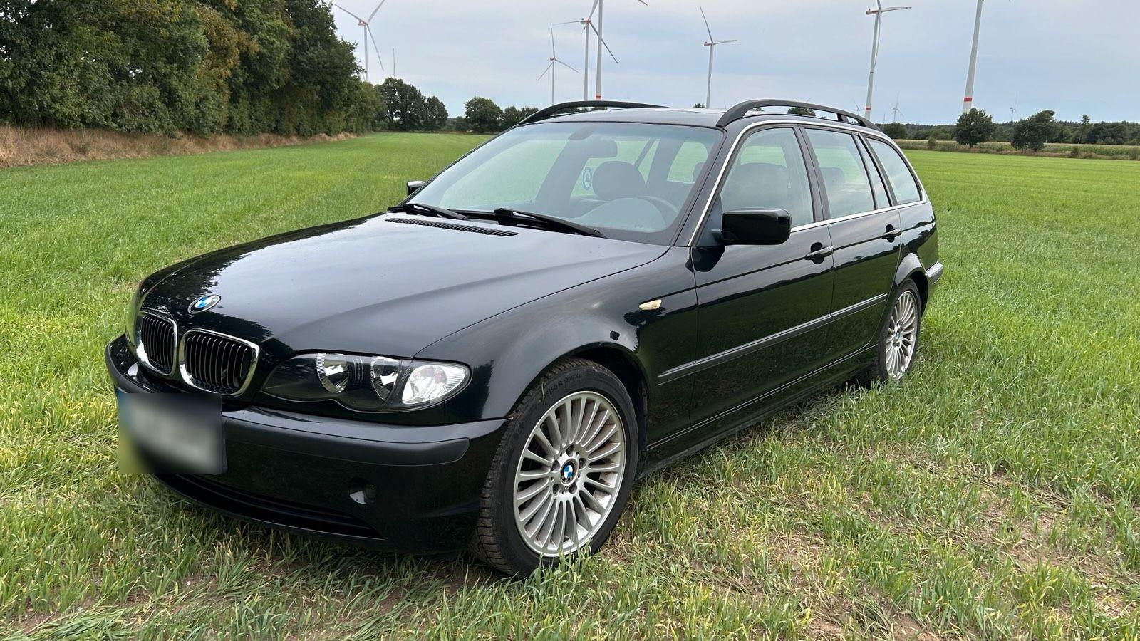BMW 318 2005 — вигляд ззаду