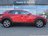 Mazda CX-30 *Sondermodell mit Top-Ausstattung in Bestz - : Geländewagen, Best