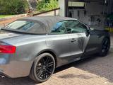 Audi S5 3.0 TFSI S tronic quattro Cabriolet - - graue Audi S5
