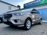 Ford Kuga ST-Line-NAVI-LEDER-ALU-1.HAND - scheckheftgepflegte Ford Kuga