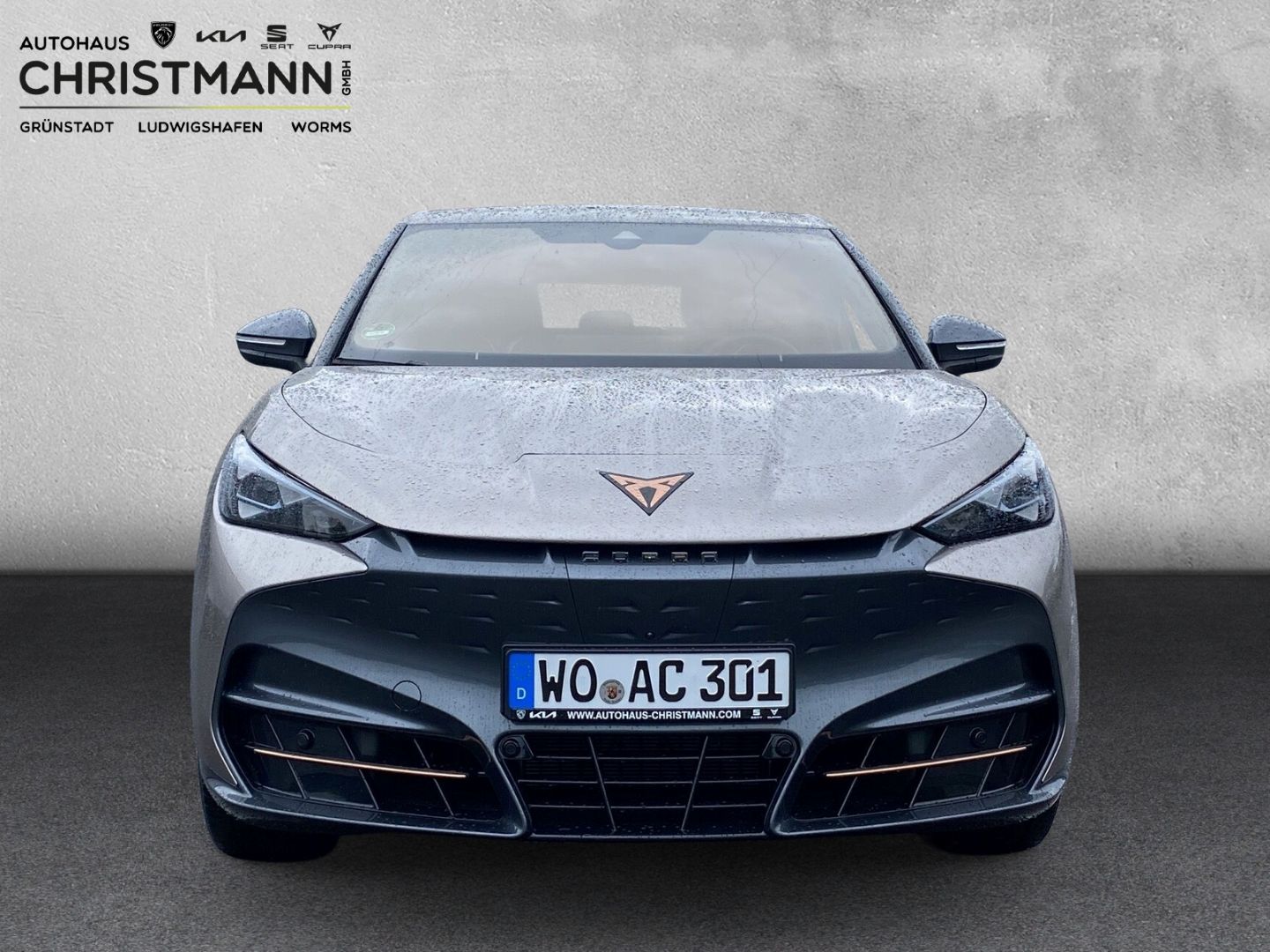 Fahrzeugabbildung CUPRA Tavascan 250 kW VZ 4Drive Dual Engine*NAVI*CAM*P