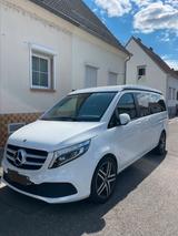 Mercedes-Benz V 300 Marco Polo Horizon - Mercedes-Benz V 300 in Ludwigshafen
