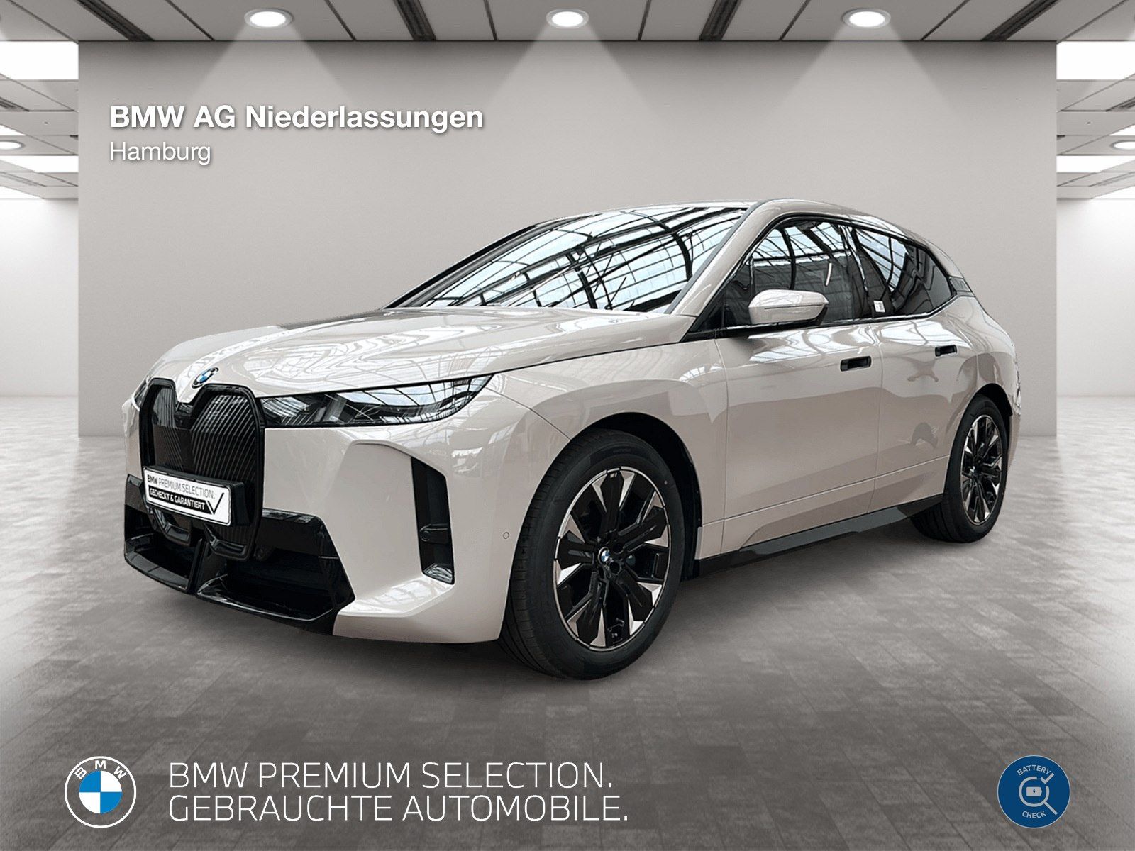 BMW iX xDrive45 M Sport AHK Driv.Assist.Prof Kamera