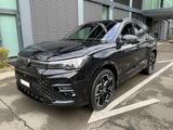 Volkswagen Tiguan TDI R-Line AHK 20Z Leder Pano Stand VOLL