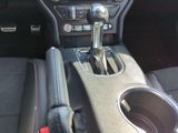 Ford Mustang GT V8 5.0L / B&O Soundsystem / Navi - Ford Mustang: Cabrio