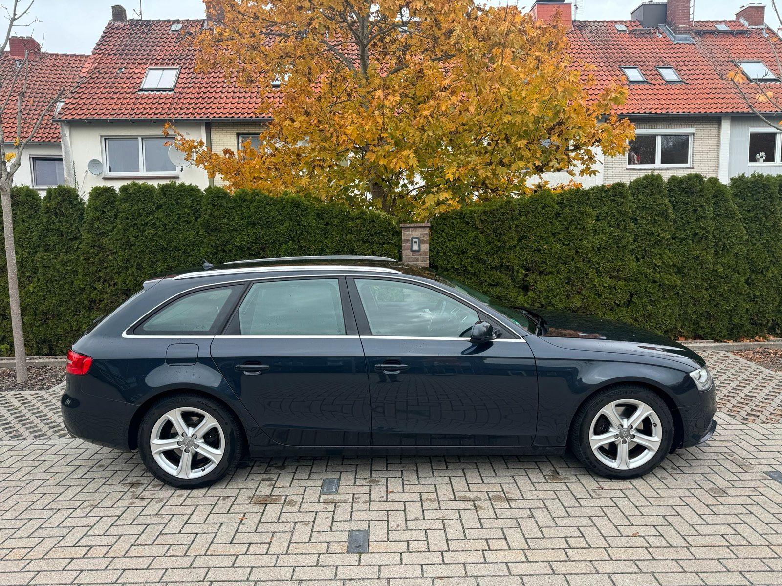 Audi A4 2014 — photo 6