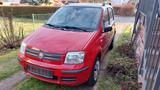 Fiat Panda  - Fiat Panda: Kombi