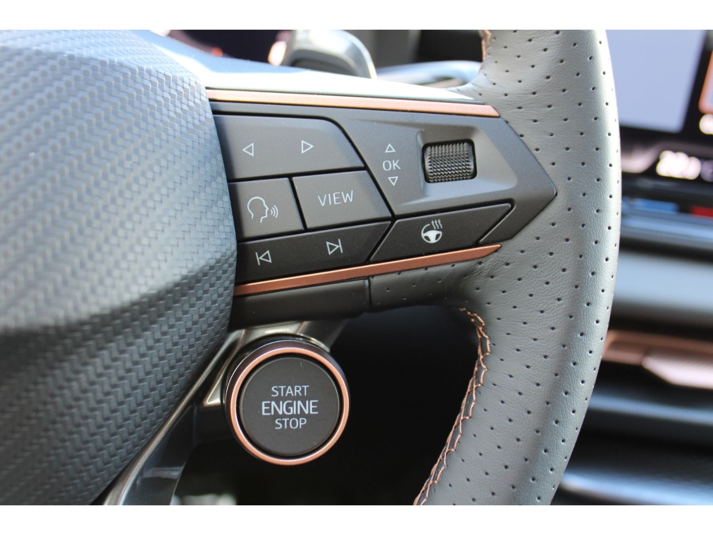 CUPRA Terramar 2.0 TSI 195 kW 4Drive VZ AHK Pano Navi - Image 21