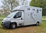 Peugeot zu verkaufen pferdetransporter tüv neu - Peugeot Boxer aus 2012