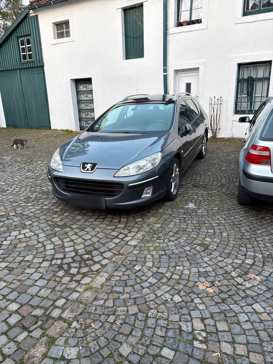 Peugeot 407 2006 — rear view