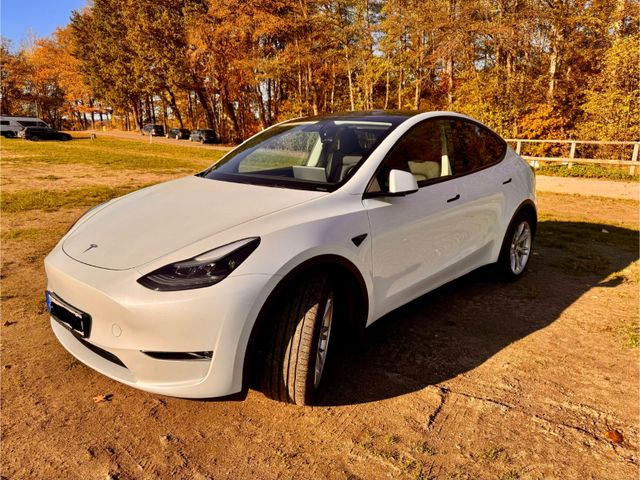 Tesla Model Y Long Range Dual Motor AWD Long Range